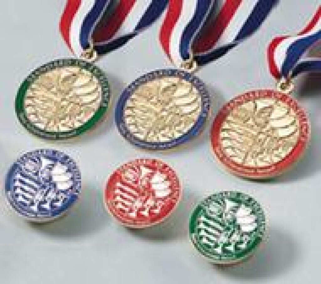 Standard of Excellence Book 2 Award Pin